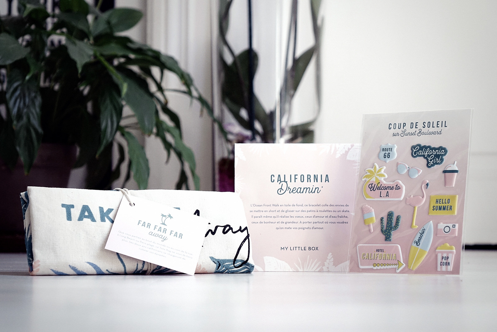 JANIS-EN-SUCRE-My-Little-Box-Juin-2017-Los-Angeles-09