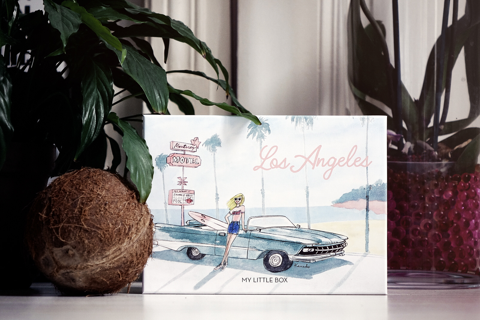 JANIS-EN-SUCRE-My-Little-Box-Juin-2017-Los-Angeles-20