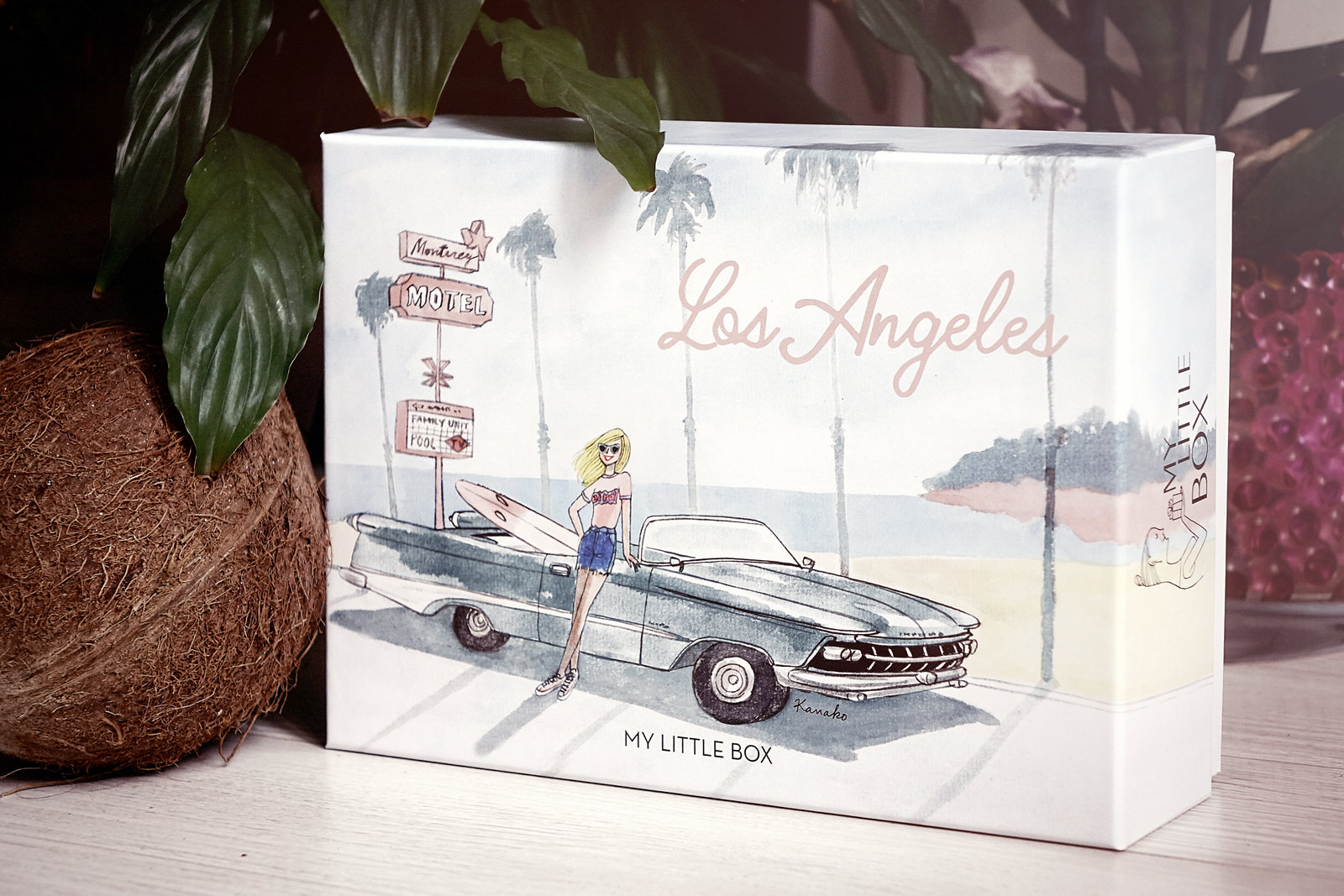 JANIS-EN-SUCRE-My-Little-Box-Juin-2017-Los-Angeles-28