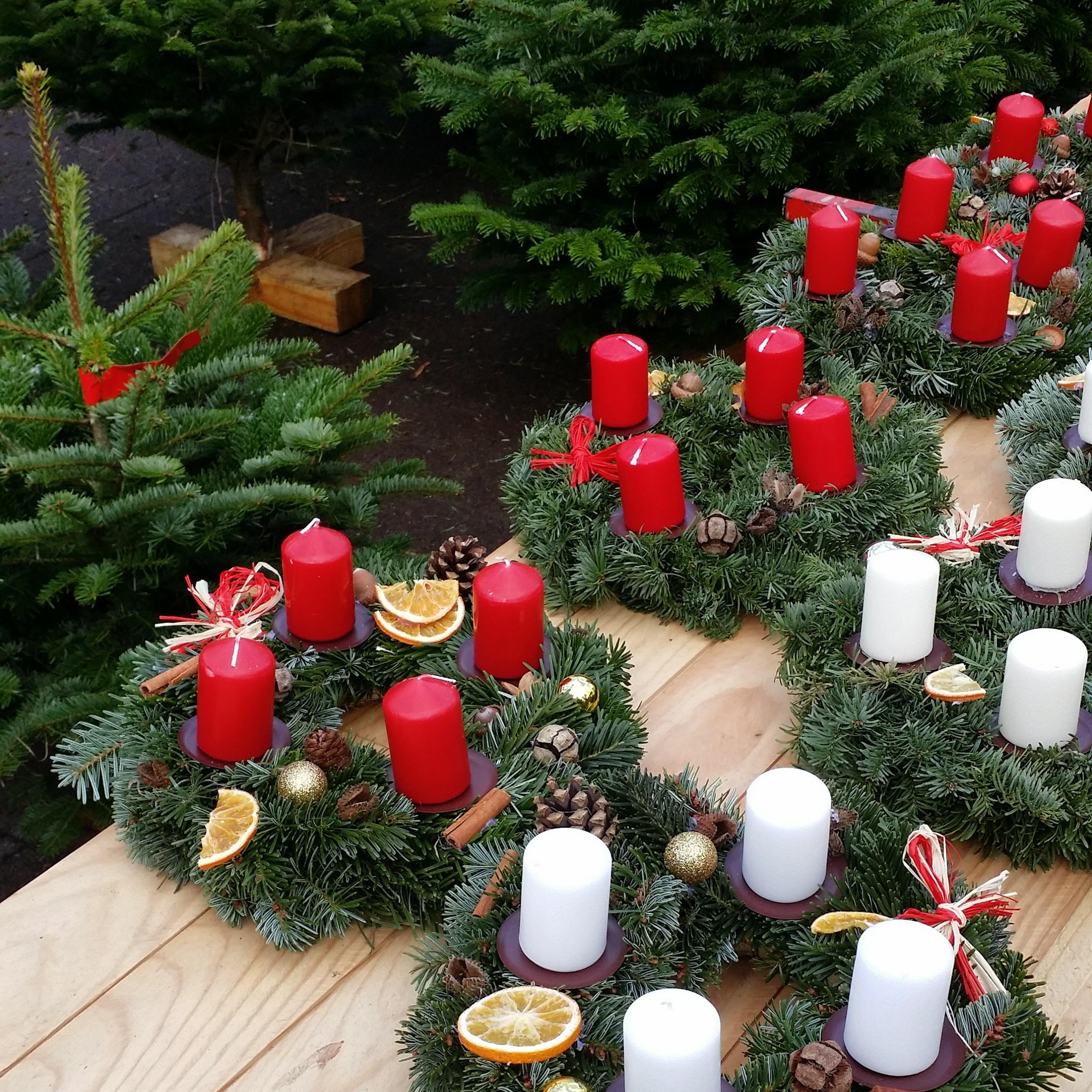 25521059_10155893883212207_224407903_o